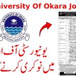 University Of Okara Jobs 2025 Online Application Form