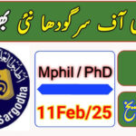 University Of Sargodha Jobs 2025 Apply Online Now