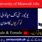 University of Mianwali Jobs 2025 For Educational Posts