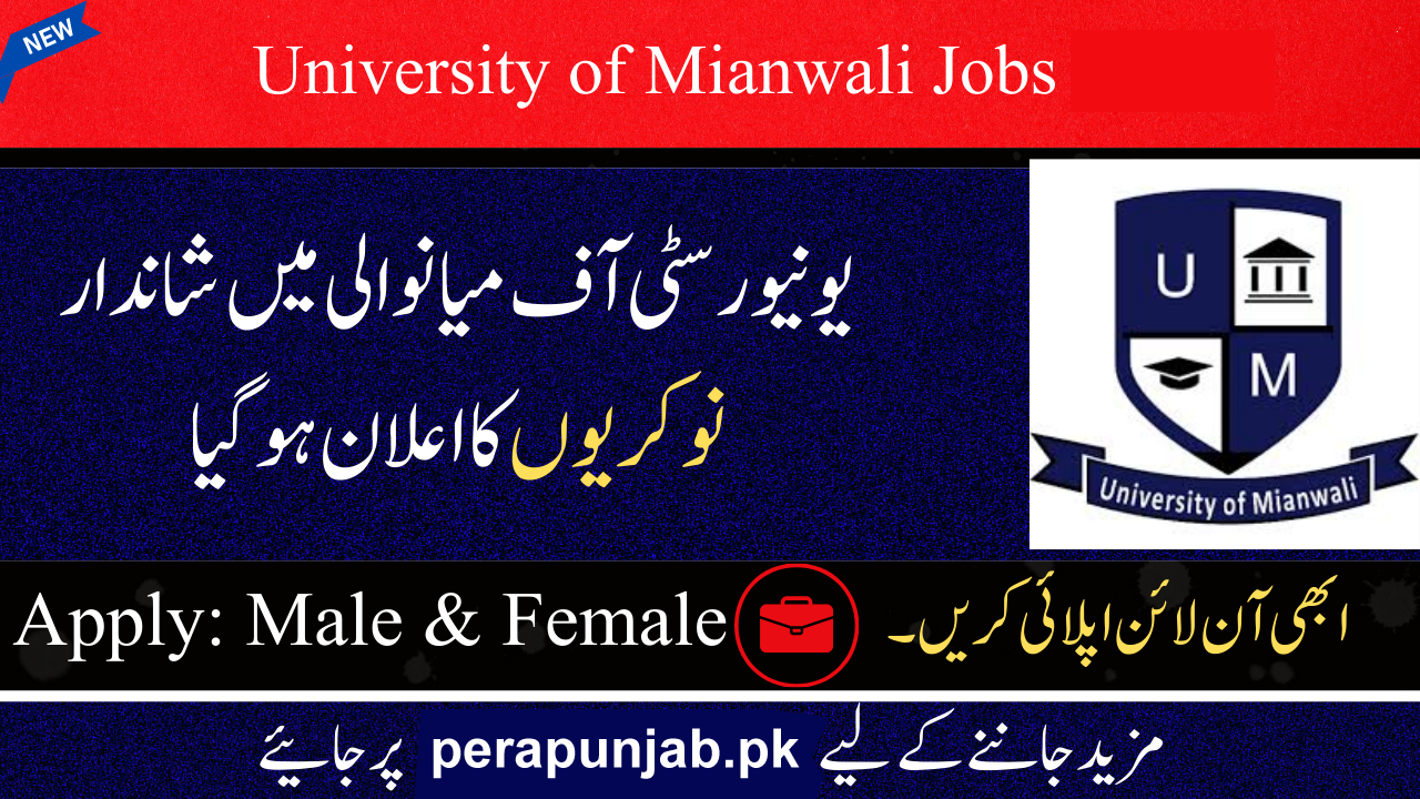 University of Mianwali Jobs 2025 For Educational Posts