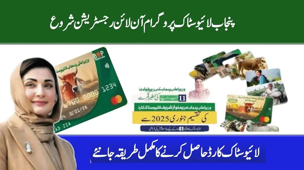 CM Punjab Livestock Program 2025 For Free Cows & Buffaloes