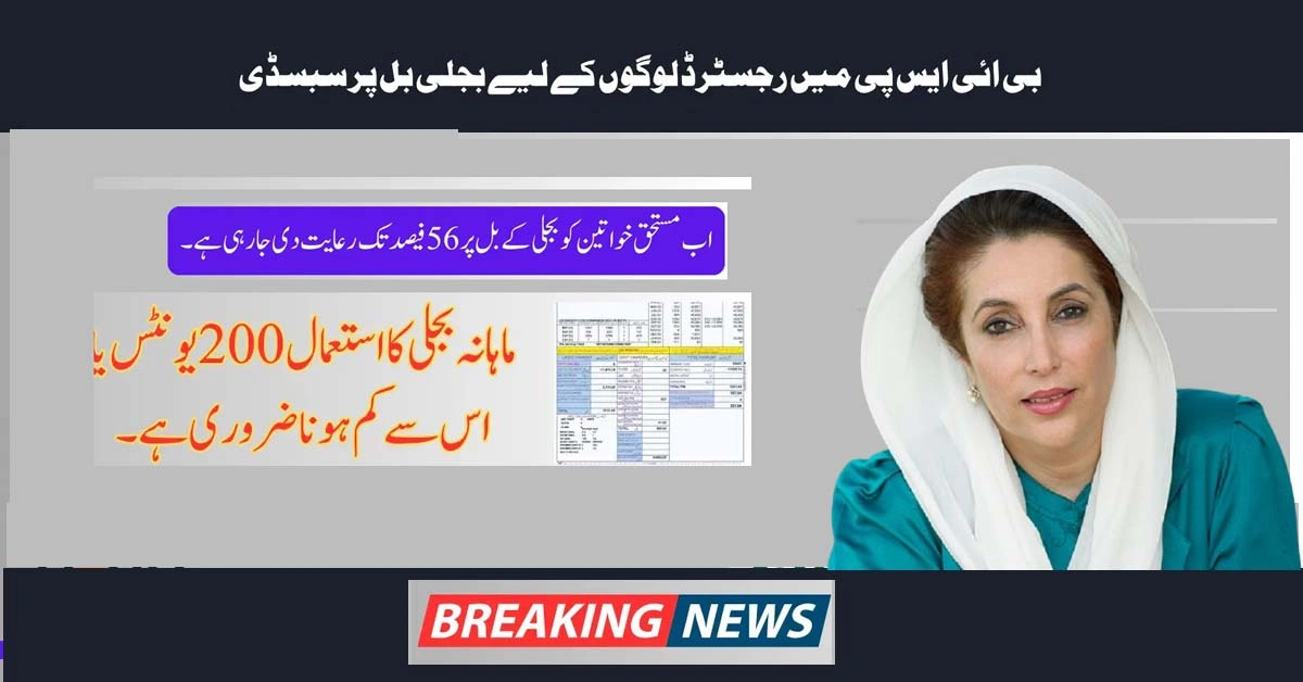 BISP Electricity Subsidy 2025 For Complete Survey Women Know Details Step By Step