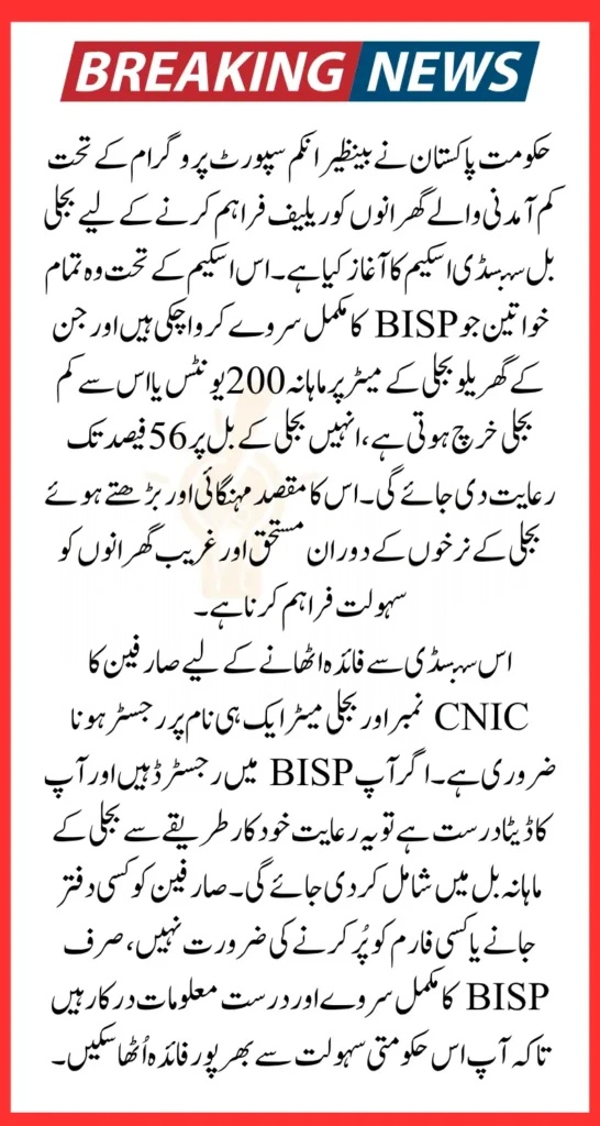 BISP Electricity Subsidy 2025 For Complete Survey Women Know Details Step By Step